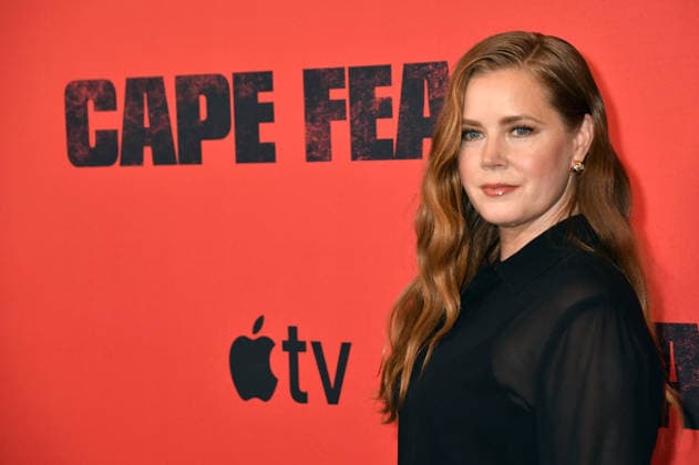 Apple TV Cape Fear NY Finale Event NEW YORK, NY - JULY 21: Amy Adams at the Apple TV Cape Fear Finale Event on July 21, 2026 at DGA Theater in New York City. Credit: Jack Fycke AdMedia New York City New York USA EDITORIAL USE ONLY  Copyright: xx JackxFycke AdMediax admphotosthree007114