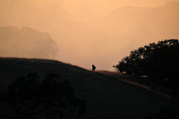 Little Fire of wildfire continues in Sunol, California SUNOL, CALIFORNIA - JULY 21: A firefighter is seen as crews battle wildfire named as Little Fire in Sunol, Alameda County, California on July 21, 2026. Tayfun Coskun Anadolu California United States. Editorial use only. Please get in touch for any other usage.  Copyright: x2026xAnadoluxTayfunxCoskunx