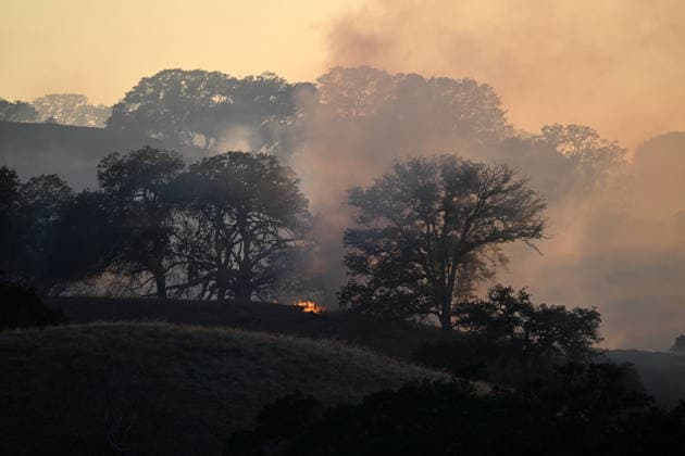 Little Fire of wildfire continues in Sunol, California SUNOL, CALIFORNIA - JULY 21: A view of smoke and flames on vegetation area as crews battle wildfire named as Little Fire in Sunol, Alameda County, California on July 21, 2026. Tayfun Coskun Anadolu California United States. Editorial use only. Please get in touch for any other usage.  Copyright: x2026xAnadoluxTayfunxCoskunx