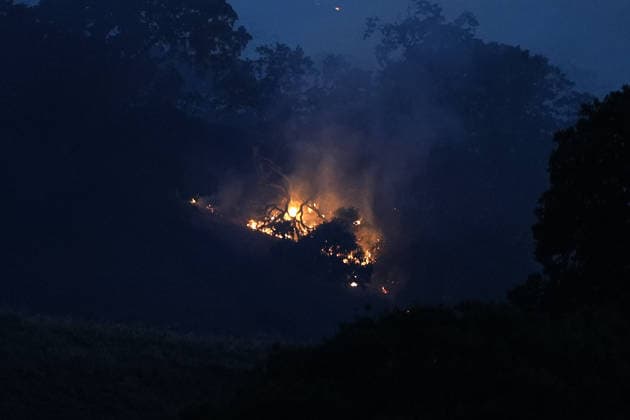 Little Fire of wildfire continues in Sunol, California SUNOL, CALIFORNIA - JULY 21: A view of flames on vegetation area as crews battle wildfire named as Little Fire in Sunol, Alameda County, California on July 21, 2026. Tayfun Coskun Anadolu California United States. Editorial use only. Please get in touch for any other usage.  Copyright: x2026xAnadoluxTayfunxCoskunx