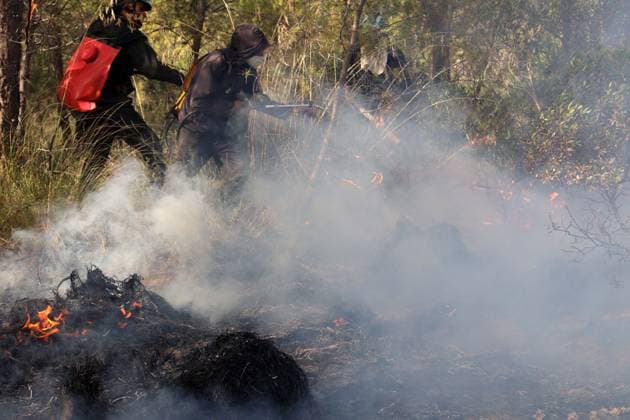 Forest Rangers Battle Wildfires In Bouira - Algeria Forest guards intervene to extinguish wildfires in the mountains of Bouira, Algeria on July 21, 2026, as the blazes are reported under control according to the civil protection agency. Photo by Billel Bensalem APP ABACAPRESS.COM Bouira Algeria  Copyright: xBensalemxBillel APP ABACAx