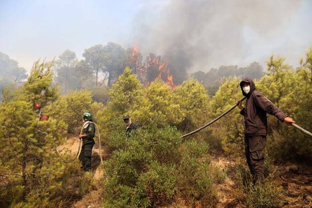 Forest Rangers Battle Wildfires In Bouira - Algeria Protection Civile firefighters intervene to extinguish wildfires in the mountains of Bouira, Algeria on July 21, 2026, as the blazes are reported under control according to the civil protection agency. Photo by Billel Bensalem APP ABACAPRESS.COM Bouira Algeria  Copyright: xBensalemxBillel APP ABACAx