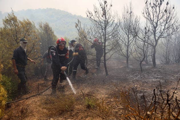 Forest Rangers Battle Wildfires In Bouira - Algeria Protection Civile firefighters intervene to extinguish wildfires in the mountains of Bouira, Algeria on July 21, 2026, as the blazes are reported under control according to the civil protection agency. Photo by Billel Bensalem APP ABACAPRESS.COM Bouira Algeria  Copyright: xBensalemxBillel APP ABACAx