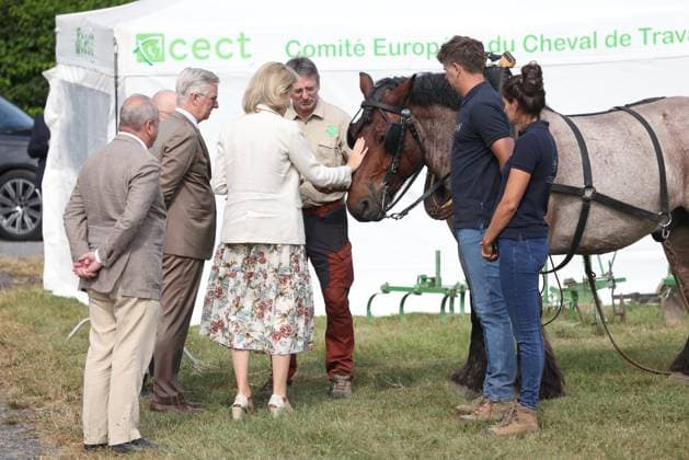 King Philippe - Filip of Belgium and Queen Mathilde of Belgium pictured during a royal visit at the 90th edition of the Libramont Agricultural fair (24-27 07), on Wednesday 22 July 2026, in Libramont.  BRUNOxFAHY 181725271