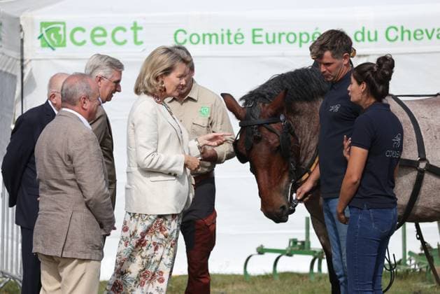 King Philippe - Filip of Belgium and Queen Mathilde of Belgium pictured during a royal visit at the 90th edition of the Libramont Agricultural fair (24-27 07), on Wednesday 22 July 2026, in Libramont.  BRUNOxFAHY 181725282