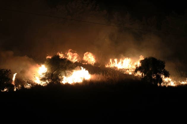 Wildfires continue in Italian island of Sicily PALERMO, ITALY - JULY 22: Wildfires that broke out in several parts of the Italian island of Sicily continue overnight, fueled by strong winds, as firefighters, civil protection teams and forestry crews press on with efforts to contain the blazes near Palermo, Sicily, Italy on July 22, 2026. The wildfires, which started yesterday on the slopes of Mount Longa near the city of Palermo, spread rapidly due to the wind and burned throughout the night. Alberto Lo Bianco Anadolu Palermo Italy. Editorial use only. Please get in touch for any other usage.  Copyright: x2026xAnadoluxAlbertoxLoxBiancox