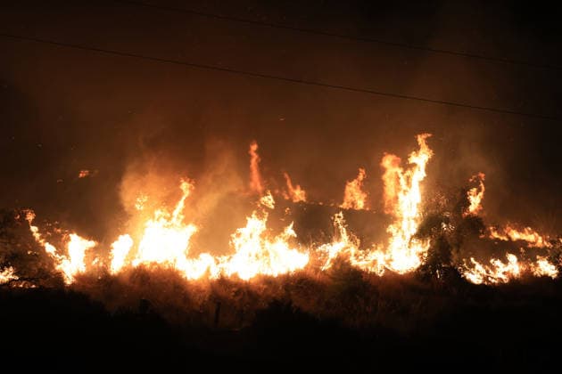 Wildfires continue in Italian island of Sicily PALERMO, ITALY - JULY 22: Wildfires that broke out in several parts of the Italian island of Sicily continue overnight, fueled by strong winds, as firefighters, civil protection teams and forestry crews press on with efforts to contain the blazes near Palermo, Sicily, Italy on July 22, 2026. The wildfires, which started yesterday on the slopes of Mount Longa near the city of Palermo, spread rapidly due to the wind and burned throughout the night. Alberto Lo Bianco Anadolu Palermo Italy. Editorial use only. Please get in touch for any other usage.  Copyright: x2026xAnadoluxAlbertoxLoxBiancox