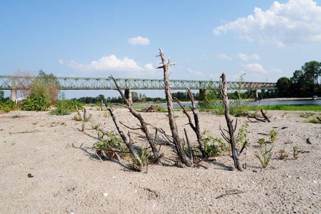 IPA86888875 - Mezzanino, Pavia, Ponte della Becca, July 22, 2026: The Po River has run dry; water emergency and drought in Italy’s rivers. The Po River is 3 meters below its normal level, with vast stretches of sand; climate change and global warming  Copyright: xDuilioxPiaggesix xDuilioxPiaggesix 86888875