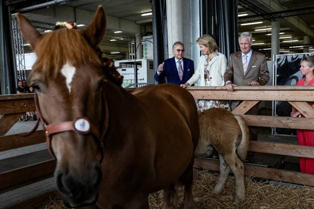 Queen Mathilde of Belgium and King Philippe - Filip of Belgium pictured during a royal visit at the 90th edition of the Libramont Agricultural fair (24-27 07), on Wednesday 22 July 2026, in Libramont.  BRUNOxFAHY 181735975