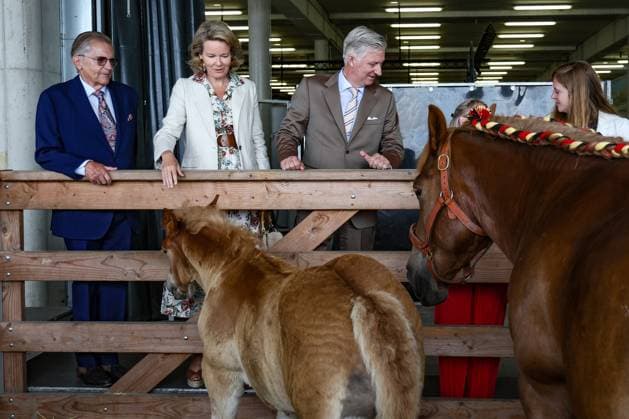 Queen Mathilde of Belgium and King Philippe - Filip of Belgium pictured during a royal visit at the 90th edition of the Libramont Agricultural fair (24-27 07), on Wednesday 22 July 2026, in Libramont.  BRUNOxFAHY 181735979