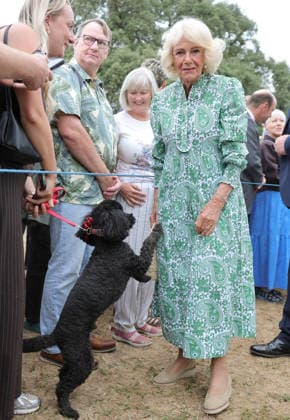 . 22 07 2026. Sandringham, United Kingdom. King Charles III and Queen Camilla at the Sandringham Flower Show, United Kingdom. The event was the first Royal Horticultural Society (RHS) show to be held at the Sandringham Estate.  xPoolx xi-Imagesx IIM-26916-0027