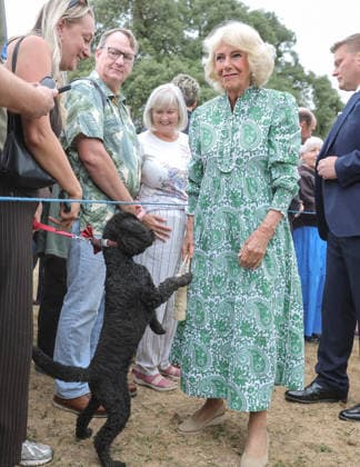 . 22 07 2026. Sandringham, United Kingdom. King Charles III and Queen Camilla at the Sandringham Flower Show, United Kingdom. The event was the first Royal Horticultural Society (RHS) show to be held at the Sandringham Estate.  xPoolx xi-Imagesx IIM-26916-0033