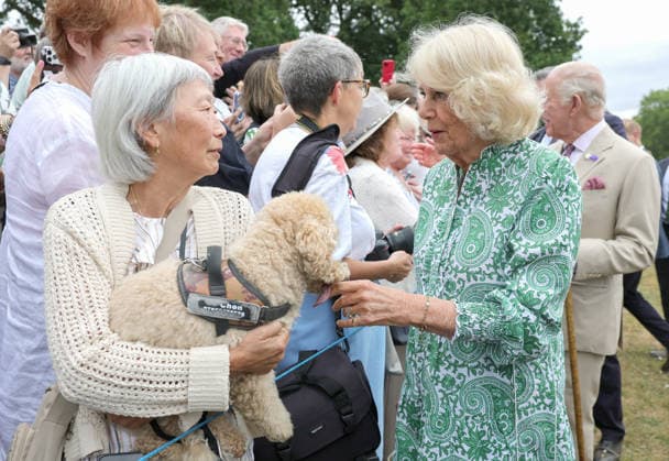 . 22 07 2026. Sandringham, United Kingdom. King Charles III and Queen Camilla at the Sandringham Flower Show, United Kingdom. The event was the first Royal Horticultural Society (RHS) show to be held at the Sandringham Estate.  xPoolx xi-Imagesx IIM-26916-0055