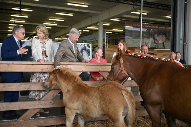 King Philippe and Queen Mathilde visit Libramont Agricultural Fair LIBRAMONT, BELGIUM - JULY 22: Belgium s King Philippe and Queen Mathilde visit the Libramont Agricultural, Forestry and Agri-Food Fair (Foire de Libramont) in Libramont, Belgium, on July 22, 2026. Belgian royal couple met with farmers, exhibitors and participants at the fair, which is recognized as one of Europe s leading outdoor exhibitions dedicated to sustainable agriculture, forestry and rural development. Dursun Aydemir Anadolu Libramont Belgium. Editorial use only. Please get in touch for any other usage.  Copyright: x2026xAnadoluxDursunxAydemirx