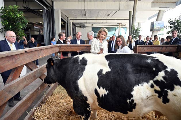 King Philippe and Queen Mathilde visit Libramont Agricultural Fair LIBRAMONT, BELGIUM - JULY 22: Belgium s King Philippe and Queen Mathilde visit the Libramont Agricultural, Forestry and Agri-Food Fair (Foire de Libramont) in Libramont, Belgium, on July 22, 2026. Belgian royal couple met with farmers, exhibitors and participants at the fair, which is recognized as one of Europe s leading outdoor exhibitions dedicated to sustainable agriculture, forestry and rural development. Dursun Aydemir Anadolu Libramont Belgium. Editorial use only. Please get in touch for any other usage.  Copyright: x2026xAnadoluxDursunxAydemirx