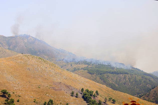 IPA86900397 - In the photo, a large fire is raging in the Casaboli, Pioppo, and Monreale area; there is concern about the advancing fire front, and a Canadair aircraft is on its way from Olbia.  Copyright: xAlbertoxLoxBiancox xAlbertoxLoxBiancox 86900397