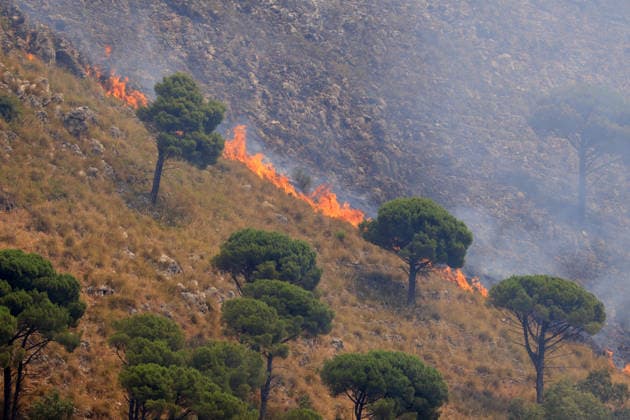 IPA86900403 - In the photo, a large fire is raging in the Casaboli, Pioppo, and Monreale area; there is concern about the advancing fire front, and a Canadair aircraft is on its way from Olbia.  Copyright: xAlbertoxLoxBiancox xAlbertoxLoxBiancox 86900403