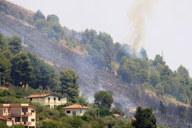 IPA86900408 - In the photo, a large fire is raging in the Casaboli, Pioppo, and Monreale area; there is concern about the advancing fire front, and a Canadair aircraft is on its way from Olbia.  Copyright: xAlbertoxLoxBiancox xAlbertoxLoxBiancox 86900408