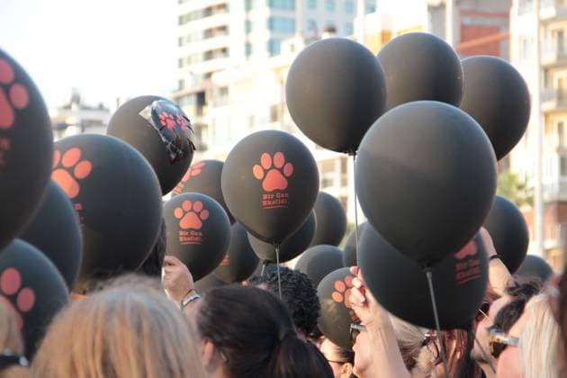July 22, 2026, Â°Zmir, ToÂ¼rkiye: IZMIR, TURKEY Ã¢â‚¬ JULY 22, 2026: Participants dressed in black walk silently from Pasaport Ferry Terminal to Alsancak Ferry Terminal during an awareness march organized by volunteers to highlight the welfare and rights of stray animals. Carrying black balloons bearing the words One Life Lost, demonstrators complete the march without chanting slogans before delivering a brief press statement at the end of the route. Â°Zmir Türkiye  - ZUMAq101 20260722_zna_q101_217 Copyright: xNagihanxCakirx