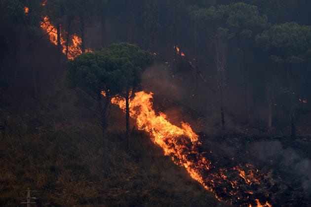 Wildfire firefighting efforts continue on Sicily island PALERMO, ITALY - JULY 22: Wildfires continue to burn in several parts of Sicily as firefighting efforts remain underway in Palermo, Sicily, Italy on July 22, 2026. Aircraft and helicopters are being used to battle a wildfire in the Casaboli forest, located in the mountainous area between the towns of Monreale and Pioppo near Palermo. Alberto Lo Bianco Anadolu Palermo Italy. Editorial use only. Please get in touch for any other usage.  Copyright: x2026xAnadoluxAlbertoxLoxBiancox