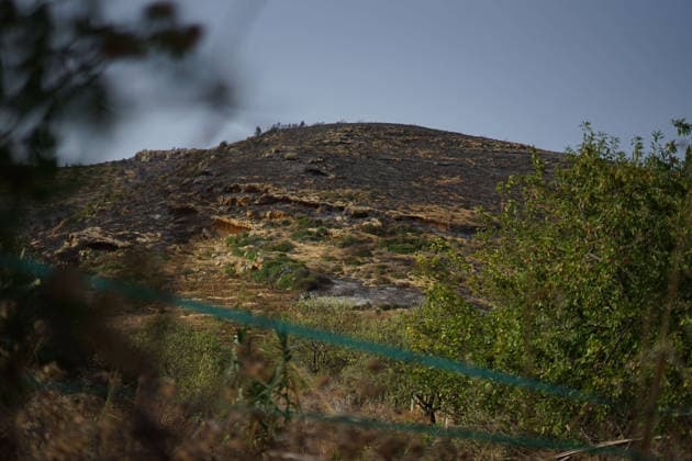 July 22, 2026, Bizerte, Bizerte, Tunisia, Tunisia: Scorched trees are seen on the hills overlooking the coast of Sidi Ali Mekki in the locality of Ghar El Melh on July 22, 2026 after being ravaged by a forest fire. Wildfires broke out the previous night in the heights of Ghar El Melh, Sidi Ali El Mekki, and RafRaf in Tunisia s Bizerte Governorate causing great concern among residents and vacationers. Bizerte Tunisia - ZUMAm342 20260722_zsp_m342_001 Copyright: xHasanxMradx