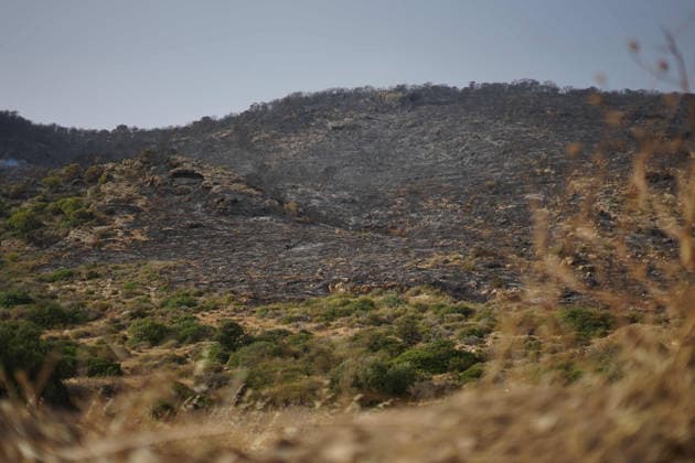 July 22, 2026, Bizerte, Bizerte, Tunisia, Tunisia: Scorched trees are seen on the hills overlooking the coast of Sidi Ali Mekki in the locality of Ghar El Melh on July 22, 2026 after being ravaged by a forest fire. Wildfires broke out the previous night in the heights of Ghar El Melh, Sidi Ali El Mekki, and RafRaf in Tunisia s Bizerte Governorate causing great concern among residents and vacationers. Bizerte Tunisia - ZUMAm342 20260722_zsp_m342_003 Copyright: xHasanxMradx