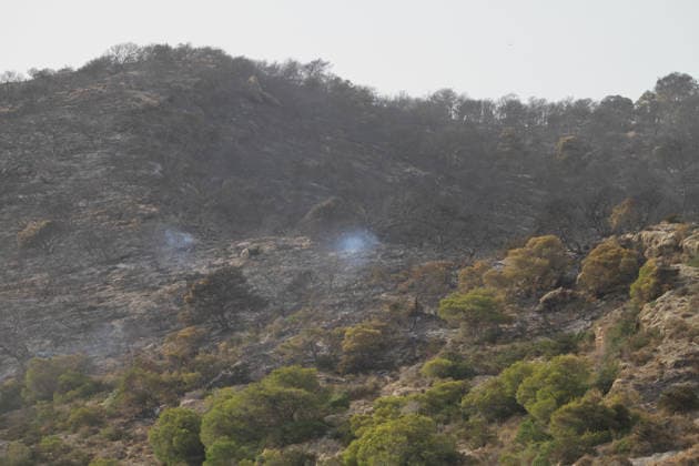July 22, 2026, Bizerte, Bizerte, Tunisia, Tunisia: Scorched trees are seen on the hills overlooking the coast of Sidi Ali Mekki in the locality of Ghar El Melh on July 22, 2026 after being ravaged by a forest fire. Wildfires broke out the previous night in the heights of Ghar El Melh, Sidi Ali El Mekki, and RafRaf in Tunisia s Bizerte Governorate causing great concern among residents and vacationers. Bizerte Tunisia - ZUMAm342 20260722_zsp_m342_010 Copyright: xHasanxMradx