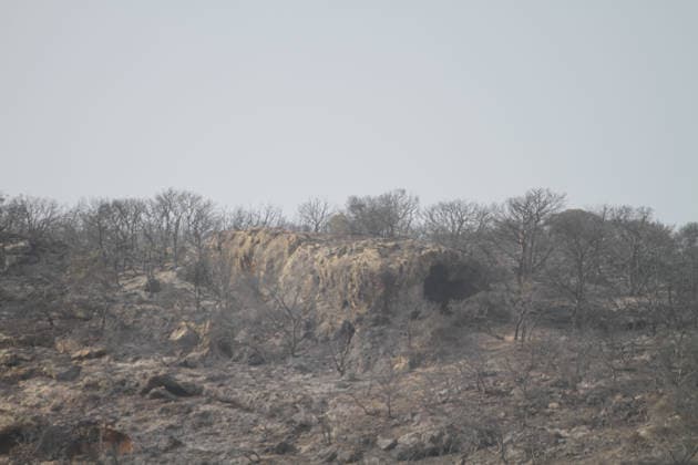 July 22, 2026, Bizerte, Bizerte, Tunisia, Tunisia: Scorched trees are seen on the hills overlooking the coast of Sidi Ali Mekki in the locality of Ghar El Melh on July 22, 2026 after being ravaged by a forest fire. Wildfires broke out the previous night in the heights of Ghar El Melh, Sidi Ali El Mekki, and RafRaf in Tunisia s Bizerte Governorate causing great concern among residents and vacationers. Bizerte Tunisia - ZUMAm342 20260722_zsp_m342_012 Copyright: xHasanxMradx