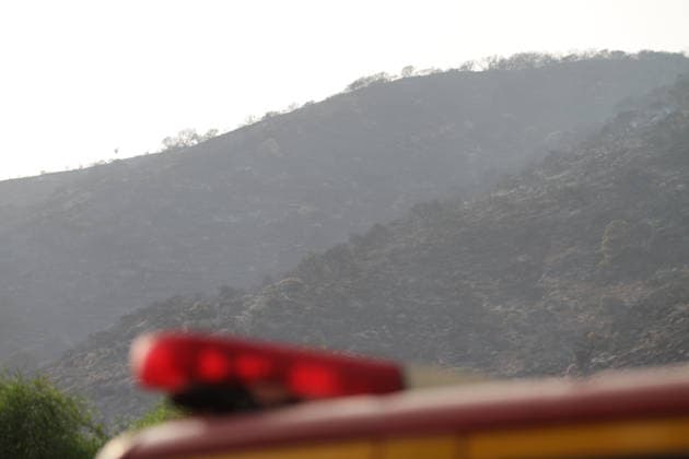 July 22, 2026, Bizerte, Bizerte, Tunisia, Tunisia: Scorched trees are seen on the hills overlooking the coast of Sidi Ali Mekki in the locality of Ghar El Melh on July 22, 2026 after being ravaged by a forest fire. Wildfires broke out the previous night in the heights of Ghar El Melh, Sidi Ali El Mekki, and RafRaf in Tunisia s Bizerte Governorate causing great concern among residents and vacationers. Bizerte Tunisia - ZUMAm342 20260722_zsp_m342_018 Copyright: xHasanxMradx