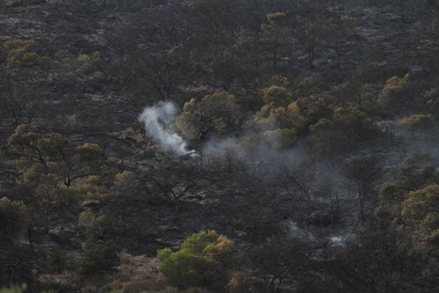 July 22, 2026, Bizerte, Bizerte, Tunisia, Tunisia: Scorched trees are seen on the hills overlooking the coast of Sidi Ali Mekki in the locality of Ghar El Melh on July 22, 2026 after being ravaged by a forest fire. Wildfires broke out the previous night in the heights of Ghar El Melh, Sidi Ali El Mekki, and RafRaf in Tunisia s Bizerte Governorate causing great concern among residents and vacationers. Bizerte Tunisia - ZUMAm342 20260722_zsp_m342_020 Copyright: xHasanxMradx