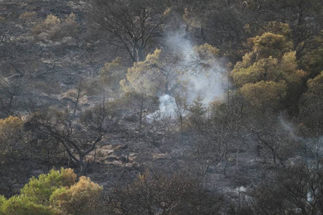 July 22, 2026, Bizerte, Bizerte, Tunisia, Tunisia: Scorched trees are seen on the hills overlooking the coast of Sidi Ali Mekki in the locality of Ghar El Melh on July 22, 2026 after being ravaged by a forest fire. Wildfires broke out the previous night in the heights of Ghar El Melh, Sidi Ali El Mekki, and RafRaf in Tunisia s Bizerte Governorate causing great concern among residents and vacationers. Bizerte Tunisia - ZUMAm342 20260722_zsp_m342_028 Copyright: xHasanxMradx