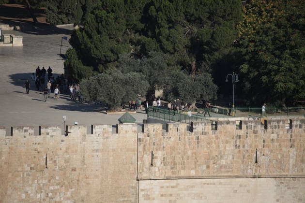 Jewish Groups raid Al-Aqsa Mosque in Jerusalem JERUSALEM - JULY 23: Groups of fanatic Jews raid the Al-Aqsa Mosque compound in East Jerusalem during events marking what they regard as the anniversary of the destruction of the Jewish temples, on July 23, 2026 in Jerusalem. The raid began in the early morning, with participants performing religious rituals at the site. Gazi Samad Anadolu Kudüs Palestinian Territory, Occupied. Editorial use only. Please get in touch for any other usage.  Copyright: x2026xAnadoluxGazixSamadx