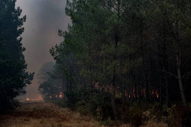 THE ROAD BETWEEN LE PORGE AND LEGE PHOTOPQR SUD OUEST JULY 23, 2026 THE ROAD BETWEEN LE PORGE AND LEGE Gironde, France – July 23, 2026 Firefighters battle a fast-moving wildfire between Saumos and Le Porge after the blaze scorched approximately 2,400 hectares of forest and triggered the evacuation of thousands of people in France  Copyright: xPHOTOPQR SUDxOUEST MAXPPPxx 20260723SDO5492 20260723SDO5492