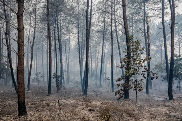Fire in Gironde: 2,400 hectares burned between Saumos and Le Porge THE ROAD BETWEEN LE PORGE AND LEGE PHOTOPQR SUD OUEST GUILLAUME BONNAUD Bordeaux July 23, 2026 JULY 23, 2026 IN GIRONDE Fire in Gironde: 2,400 hectares burned between Saumos and Le Porge Photo by Guillaume Bonnaud THE ROAD BETWEEN LE PORGE AND LEGE Gironde, France – July 23, 2026 Firefighters battle a fast-moving wildfire between Saumos and Le Porge after the blaze scorched around 2,400 hectares of forest and triggered the evacuation of thousands of people Bordeaux GIRONDE France  Copyright: xPHOTOPQR SUDxOUEST MAXPPPxGUILLAUMExBONNAUDx 20260723SDO5478 20260723SDO5478