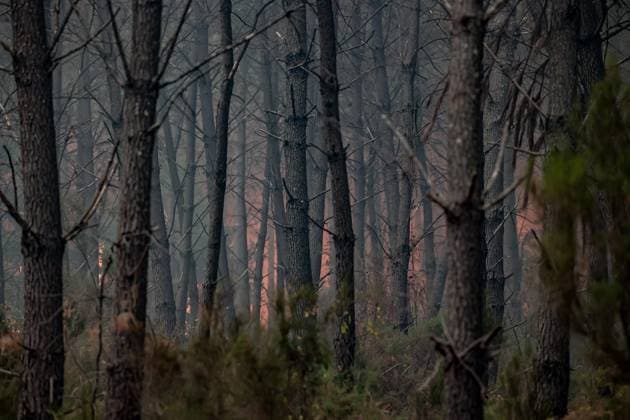 THE ROAD BETWEEN LE PORGE AND LEGE PHOTOPQR SUD OUEST Guillaume Bonnaud July 23, 2026 THE ROAD BETWEEN LE PORGE AND LEGE Gironde, France – July 23, 2026 Firefighters battle a fast-moving wildfire between Saumos and Le Porge after the blaze scorched around 2,400 hectares of forest and triggered the evacuation of thousands of people in France  Copyright: xPHOTOPQR SUDxOUEST MAXPPPxbonnaudxguillaumex 20260723SDO5487 20260723SDO5487
