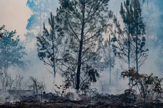 Fire in Gironde: 2,400 hectares burned between Saumos and Le Porge THE ROAD BETWEEN LE PORGE AND LEGE PHOTOPQR SUD OUEST Guillaume Bonnaud GUILLAUME BONNAUD Bordeaux July 23, 2026 JULY 23 2026 IN GIRONDE Fire in Gironde: 2,400 hectares burned between Saumos and Le Porge PH Guillaume Bonnaud THE ROAD BETWEEN LE PORGE AND LEGE Gironde, France – July 23, 2026 Firefighters battle a fast-moving wildfire between Saumos and Le Porge after the blaze scorched around 2,400 hectares of forest and triggered the evacuation of thousands of people Bordeaux GIRONDE France  Copyright: xPHOTOPQR SUDxOUEST MAXPPPxGUILLAUMExBONNAUDx 20260723SDO5490 20260723SDO5490