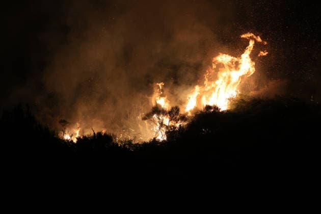 Wildfire threatens communities near Palermo in Sicily as firefighting efforts continue PALERMO, ITALY - JULY 23: Firefighters and civil protection teams battle a wildfire in the Casaboli Forest near Palermo as strong winds push the blaze toward the towns of Monreale, Pioppo and Sagana, while residents are evacuated from threatened homes, in Palermo, Sicily, Italy on July 23, 2026. The wildfire, which started the previous day, spread overnight, prompting emergency crews to work continuously to contain the flames and protect nearby communities. Alberto Lo Bianco Anadolu Palermo Italy. Editorial use only. Please get in touch for any other usage.  Copyright: x2026xAnadoluxAlbertoxLoxBiancox