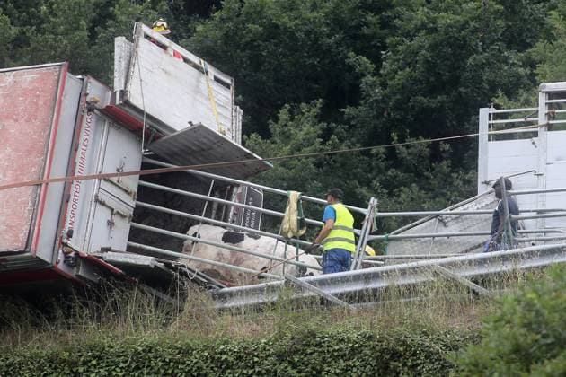 An accident involving a cattle transport truck is causing traffic delays on the A-6 in Baralla, Lugo. A group of cows traveling in the truck involved in the accident on the A-6 was evacuated, on July 23, 2026, in Baralla, Lugo, Galicia, Spain. A cattle transport truck overturned today onto a passenger car at kilometer 464 of the A-6, near the town of Baralla in Lugo, forcing the highway to be closed between kilometers 469 and 461. Traffic authorities have set up alternative detours. July 23, 2026, Spain  Copyright: xCarlosxCastrox 7683094