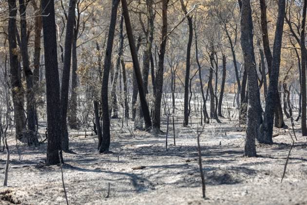 FIRE IN PONTEVES, VAR – PHOTOPQR, NICE MATIN, ESCOFFIER, FLORIAN – JULY 23, 2026 – FIRE IN PONTEVES Ponteves, France, July 23, 2026 Ponteves devastated by fire in France  Copyright: xPHOTOPQR NICExMATIN MAXPPPxESCOFFIERxFLORIANx 20260723NIM6410 20260723NIM6426