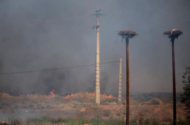AVE service between Madrid and Barcelona has resumed following a disruption caused by a fire. A wildfire on the M 206 highway between Torrejón de Ardoz and Loeches, on July 23, 2026, in Madrid, Spain High-speed rail service between Madrid and Barcelona was restored this Thursday afternoon following a disruption caused by a fire that broke out around noon near the tracks and affected trains traveling between Mejorada de Campo and Alcalá de Henares. JULY 23, 2026 Madrid, Madrid, Spain  Copyright: xAlbertoxOrtegax 7683278