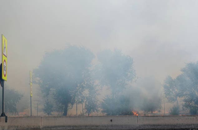AVE service between Madrid and Barcelona has resumed following a disruption caused by a fire. A wildfire on the M 206 highway between Torrejón de Ardoz and Loeches, on July 23, 2026, in Madrid, Spain High-speed rail service between Madrid and Barcelona was restored this Thursday afternoon following a disruption caused by a fire that broke out around noon near the tracks and affected trains traveling between Mejorada de Campo and Alcalá de Henares. JULY 23, 2026 Madrid, Madrid, Spain  Copyright: xAlbertoxOrtegax 7683280