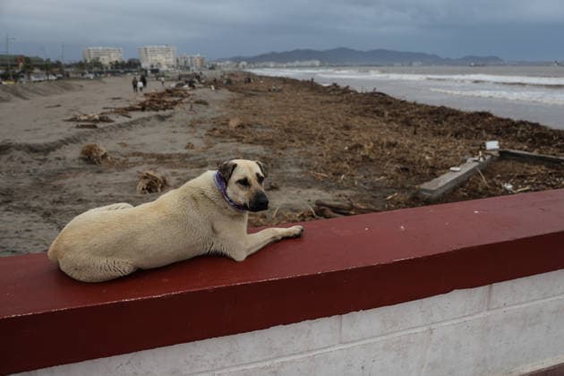 July 23, 2026, La Serena, Chile: La Serena Beach is completely covered in trash and debris resulting from the storm that caused the river to rise. This storm affected various regions of the country, causing flooding and widespread power outages. A state of catastrophe was declared for La Serena, Chile. La Serena Chile - ZUMAu105 20260723_zip_u105_010 Copyright: xManuelxUrzuax