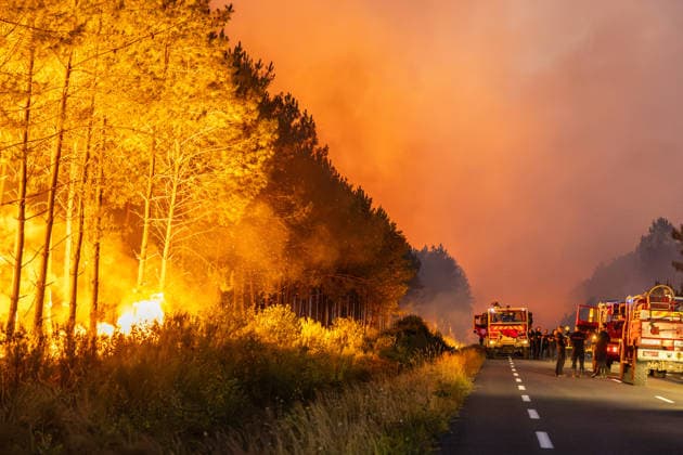 Flames Engulf Pine Forest During Gironde Wildfires - Le Porge Firefighters battle a major wildfire burning through a pine forest in the Gironde department. Fire engines and emergency crews are deployed along the roadside as flames spread through the vegetation during a large-scale firefighting operation near Le Porge, France, on July 23, 2026. Photo by Margot Le Gonidec ABACAPRESS.COM Le Porge France  Copyright: xLexGonidecxMargot ABACAx