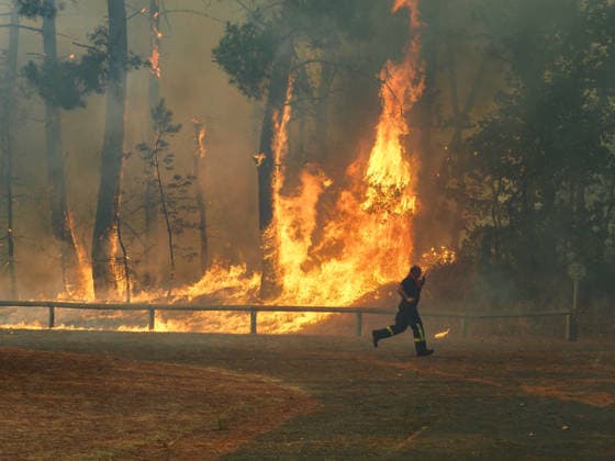 The fire is spreading into Lège-Cap-Ferret, the 800 firefighters mobilized in the Médoc are preparing to battle the blaze for yet another night on July 23, 2026. The fire in southern Médoc took advantage of terrible weather conditions to spread even further on Thursday, July 23. Around 7:00 p.m., the fire reached the most vulnerable neighborhoods of Lège Cap Ferret, on the outskirts of the Arcachon Basin. Several villages on the Cap Ferret peninsula were immediately evacuated. Guillaume Collet Bestimage As the fire reaches Lège Cap Ferret, the 800 firefighters deployed in the Médoc region are preparing to battle the blaze for another night on July 23, 2026. The fire in the southern Médoc took advantage of atrocious weather conditions to sp  Copyright: xGuillaumexCollet BestimagexGuillaumexCollet Bestimagex