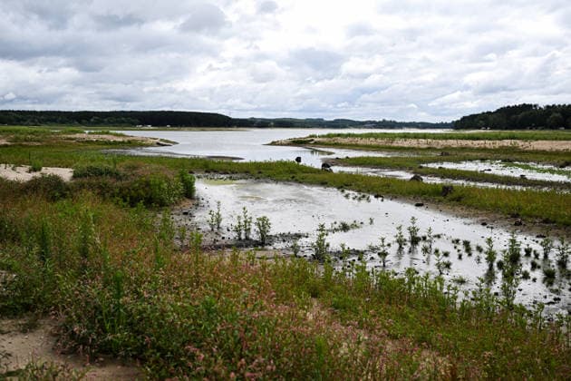 Poland s drought intensifies as climate change dries reservoirs RAKOW, POLAND - JULY 24: A view of the Chancza Reservoir with low water levels due to the ongoing drought in Rakow, Poland, on July 24, 2026. Low water levels have been recorded at 66 percent of Poland s hydrological monitoring stations. Earlier in July, Poland s national weather agency warned that hydrological drought had spread across much of the country. Officials reported falling river levels, declining groundwater supplies, and an increasing number of monitoring stations recording flows below long-term minimum thresholds. Omar Marques Anadolu Rakow Poland. Editorial use only. Please get in touch for any other usage.  Copyright: x2026xAnadoluxOmarxMarquesx