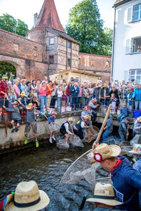 Ein Blick auf das traditionelle Bachausfischen während des Fischertags in Memmingen. Zahlreiche Fischer in teils historischer Kleidung waten durch den Stadtbach, um Fische zu fangen. Dicht gedrängt stehen Zuschauer am Ufer und verfolgen das Spektakel, das jährlich tausende Besucher anzieht. Im Hintergrund sind die historischen Mauern der Stadt zu sehen. Der Memminger Fischertag ist eines der ältesten und bekanntesten Volksfeste in Bayern. Memmingen Bayern Deutschland *** A look at the traditional stream fishing during Fishermen’s Day in Memmingen. Numerous fishermen, some in historical attire, wade through the town stream to catch fish. Spectators stand crowded together on the bank, watching the spectacle, which attracts thousands of