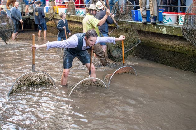Ein Blick auf das traditionelle Bachausfischen während des Fischertags in Memmingen. Zahlreiche Fischer in teils historischer Kleidung waten durch den Stadtbach, um Fische zu fangen. Dicht gedrängt stehen Zuschauer am Ufer und verfolgen das Spektakel, das jährlich tausende Besucher anzieht. Der Memminger Fischertag ist eines der ältesten und bekanntesten Volksfeste in Bayern. Memmingen Bayern Deutschland *** A look at the traditional stream fishing during Memmingen’s Fishermen’s Day. Numerous fishermen, some in historical attire, wade through the town stream, to catch fish. Spectators stand packed tightly along the bank, watching the spectacle, which attracts thousands of visitors every year. Memmingen Fishermen’s Day is one of the o
