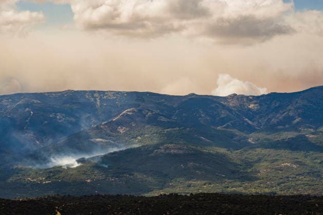 The fire in Ávila forces the evacuation of seven more towns and leaves 13,750 people affected after a difficult night. Plumes of smoke from the wildfire, July 25, 2026, in Navaluenga, Ávila, Castile and León, Spain. The forest fire in Burgohondo, Ávila—now in its fourth day this Saturday—has forced the preventive evacuation of the towns of Piedralaves, La Adrada, Casillas, Sotillo, Santa María del Tiétar, Navahondilla, and Casavieja following a difficult night marked by constantly changing weather conditions and the proximity of the fire advancing from the Community of Madrid, while, for the time being, the affected population totals 5,150 evacuees and 8,600 people under lockdown. JULY 25, 2026 FOREST FIRE Navaluenga, Ávila, Castile and Le  Copyright: xMateoxLanzuelax 7687232