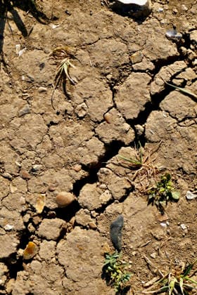 Parts of the UK have been without measurable rainfall for up to 36 consecutive days during the current dry spell. Cracked ground along the country paths. after the prolonged hot spell. The Met Office has placed eight major regions including East Anglia, Devon, Cornwall, and the West Midlands under prolonged dry weather status, while areas of Wales have entered official drought conditions., Credit:Geoffrey Swaine Geoff Swaine - B4563 Avalon UK, Oxfordshire, Dunsden Green  Copyright: xGeoffreyxSwainex xGeoffxSwainex-xB4563x xAvalonx 1118553062