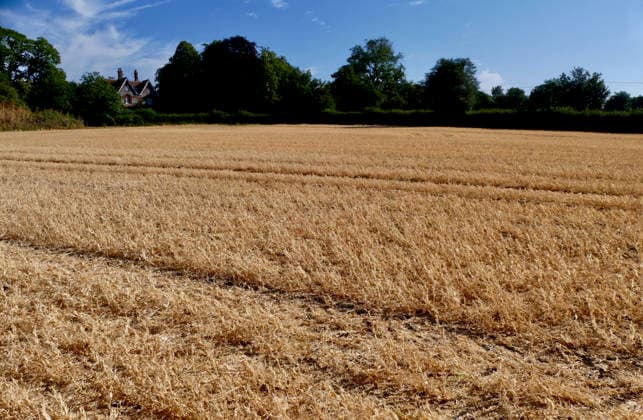 Parts of the UK have been without measurable rainfall for up to 36 consecutive days during the current dry spell. Dried fields after the prolonged hot spell. The Met Office has placed eight major regions including East Anglia, Devon, Cornwall, and the West Midlands under prolonged dry weather status, while areas of Wales have entered official drought conditions., Credit:Geoffrey Swaine Geoff Swaine - B4563 Avalon UK, Oxfordshire, Dunsden Green  Copyright: xGeoffreyxSwainex xGeoffxSwainex-xB4563x xAvalonx 1118553595